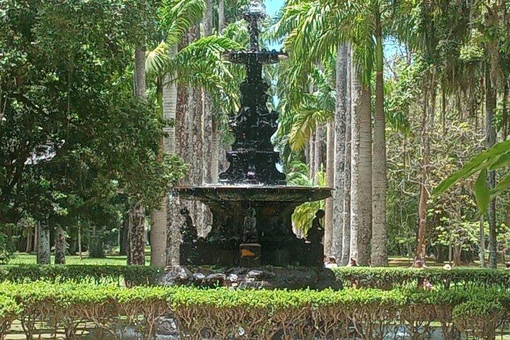 Jardín Botánico de Río de Janeiro