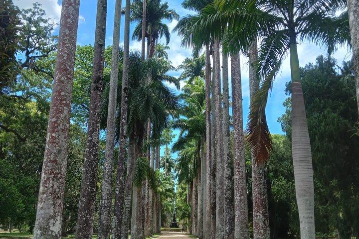 Jardín Botánico de Río de Janeiro