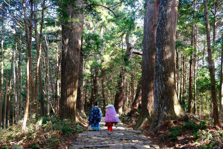 ユネスコ熊野古道 3つの神社＆那智ハイキングを満喫