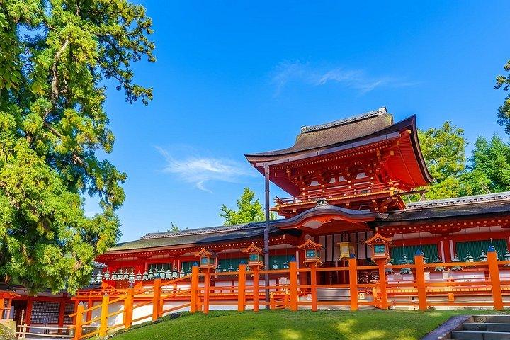 奈良の鹿と京都パノラマ関西 いつか