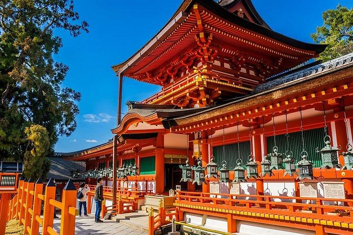奈良の鹿と京都パノラマ関西 いつか