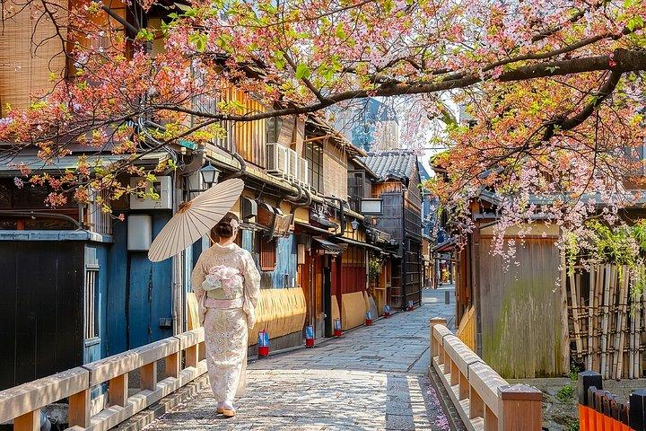 奈良の鹿と京都パノラマ関西 いつか