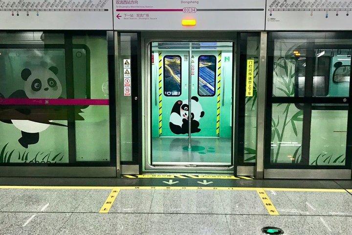 Visite de la base de pandas avec escale à Chengdu