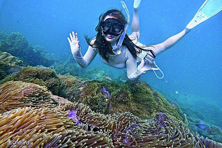 Phu Quoc Private 3 - Eiland Speedboot, snorkelen & Kabelbaan