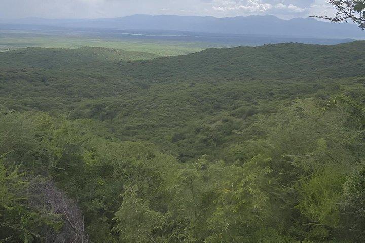 5-Daagse Wildlife Tour in Chebera Churchura National Park