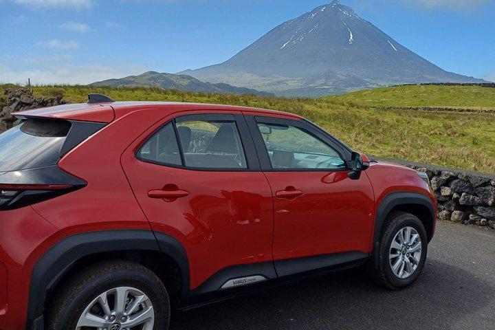 Isla Pico : Su Experiencia Guiada Privada de Medio Día