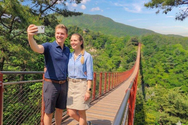 Excursion exclusive en petit groupe en DMZ avec transfert et dépôt à l'hôtel
