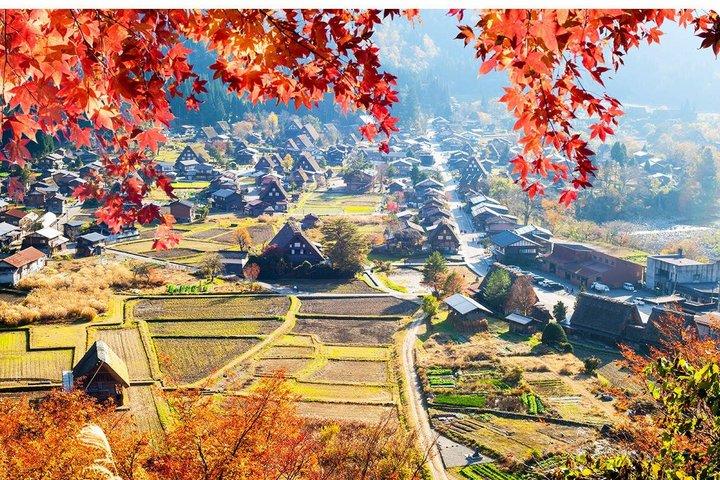Dagtrip naar Hida Takayama & Shirakawa-go Gassho Village vanuit Nagoya