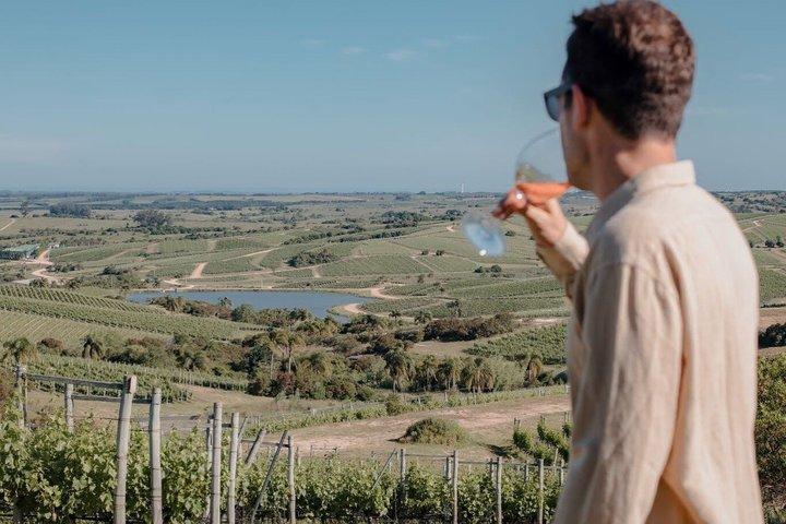 Wine Experience Bodega Oceánica Visita e pranzo alla Bodega Garzón