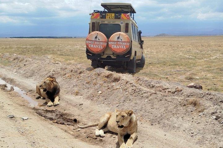 2 Tage Magical Masai Mara Fly in Safari