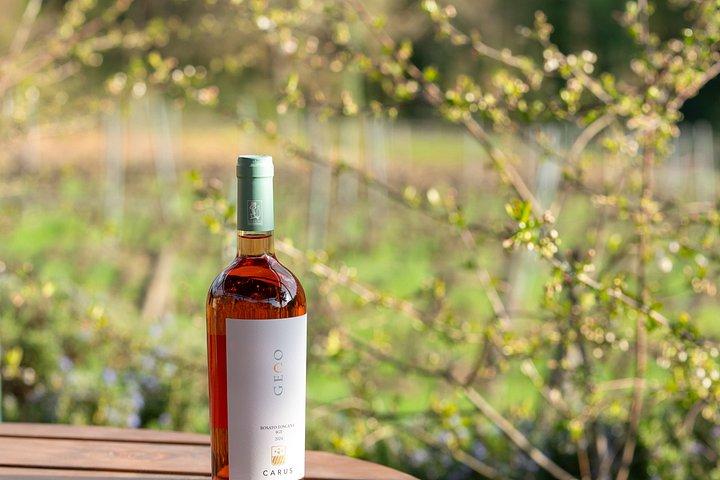 Classic Wine Tasting by Carus Wines