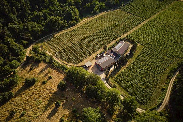 Super Tuscan Wine Tour by Carus Vini