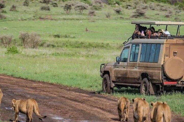 4 dagars Mid Range Safari och besök på massajerna