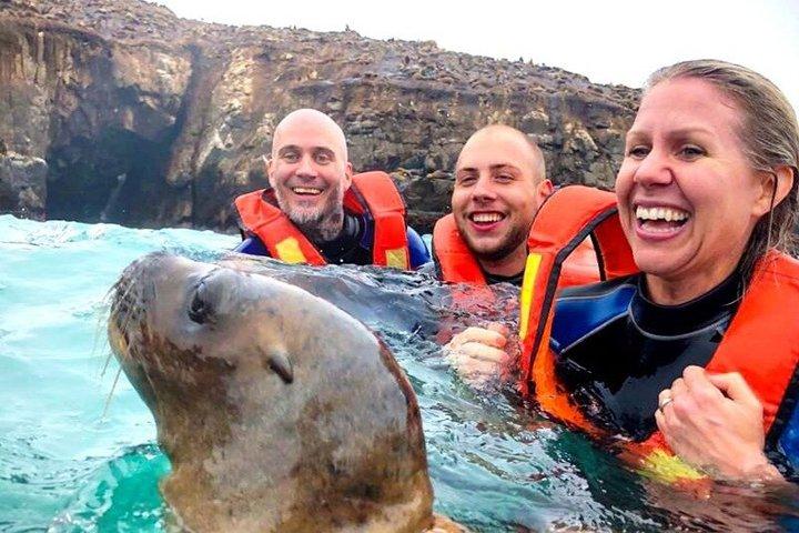 Private Palomino Islands Tour Swim with Sea Lions