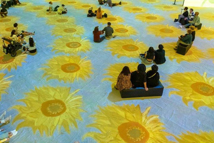 Museo Van Gogh con Audio Guida