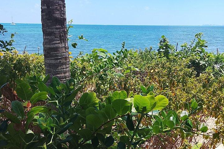 Privévervoer in Cancun