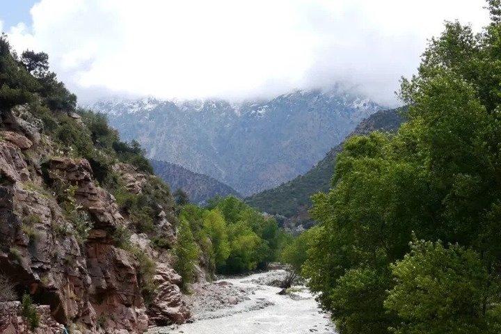 Ourika Valley Day Trip from Marrakech Culture and Nature Awaits