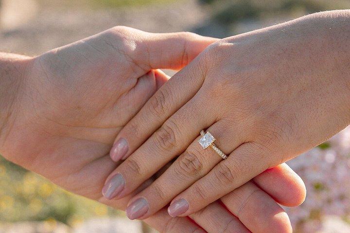 Private Horse Riding Experience with Romantic Picnic