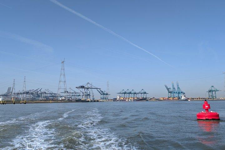 Amberes : Tour público en barco por el puerto de Amberes con guía experto
