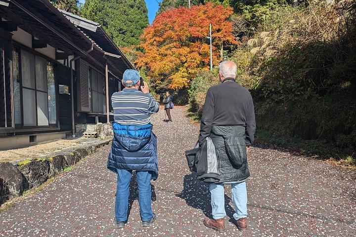 名古屋発馬籠から妻籠へのハイキングツアー