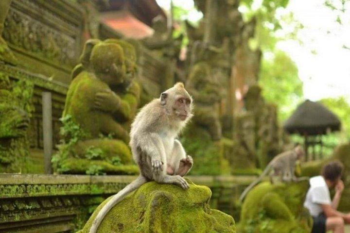Visite privée et tout compris d'Ubud 1 - Journée