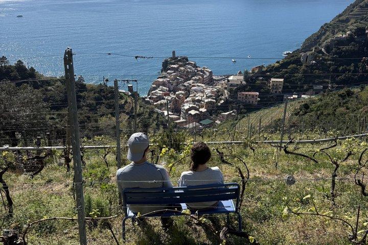Heroisch: Weinbergwanderung & authentische Weinprobe in Vernazza