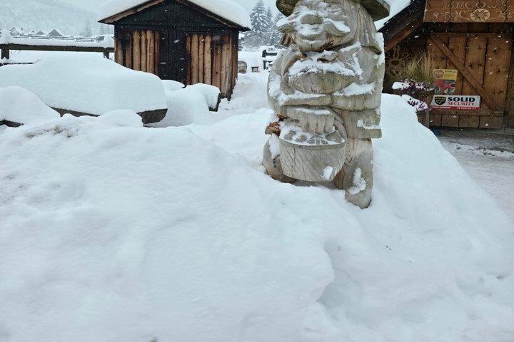 Tatra Mountains Snowmobile eller Quad Adventure fra Zakopane