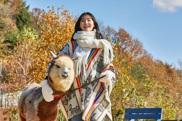 Alpaca World, Nami Island en Tuin van Ochtendstilte vanuit Seoul
