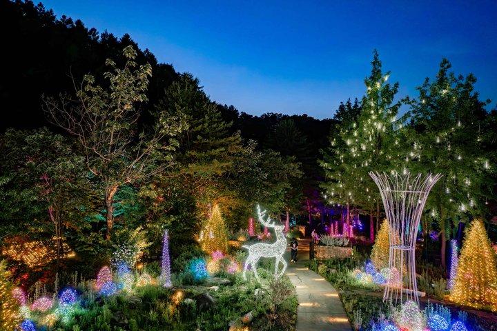 Alpaca World, Nami Island, Railbike og Light Festival fra Seoul