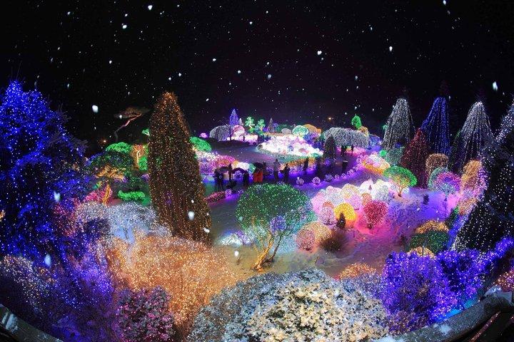 ソウル発アルパカワールド、ナミ島、レールバイク、ライトフェスティバル