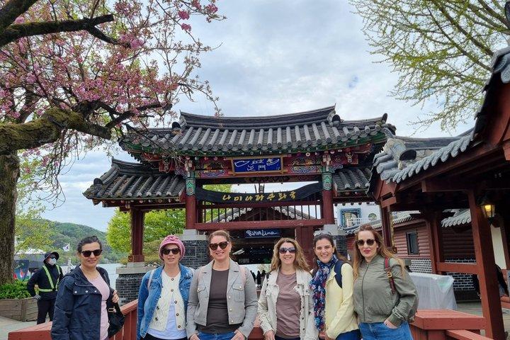Nami Island, Railbike & Morning Calm Privétour vanuit Seoul