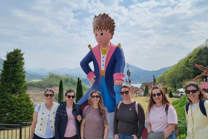 Nami Island, Railbike & Morning Calm Privétour vanuit Seoul