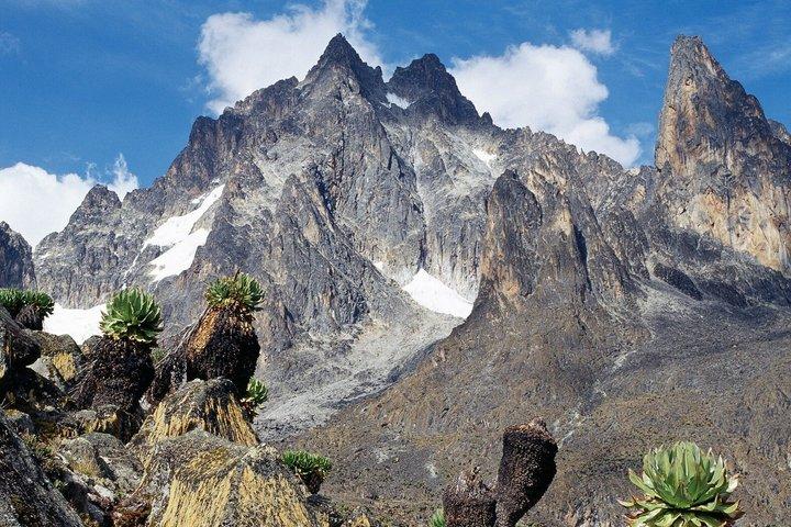 Mount Kenya Tageswanderung mit Mittagessen