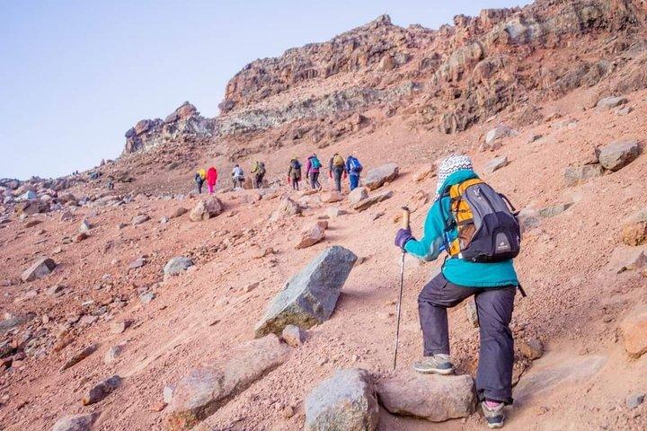 Mount Kenya Tageswanderung mit Mittagessen