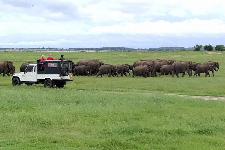 シギリヤ洞窟と国立公園サファリツアープライベート日帰り