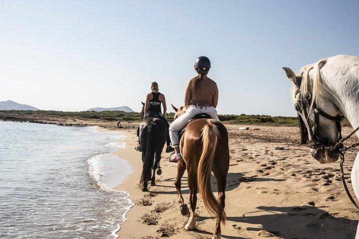 Reiten auf Mallorca am Strand und Wald