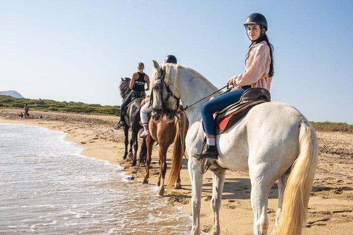 Reiten auf Mallorca am Strand und Wald