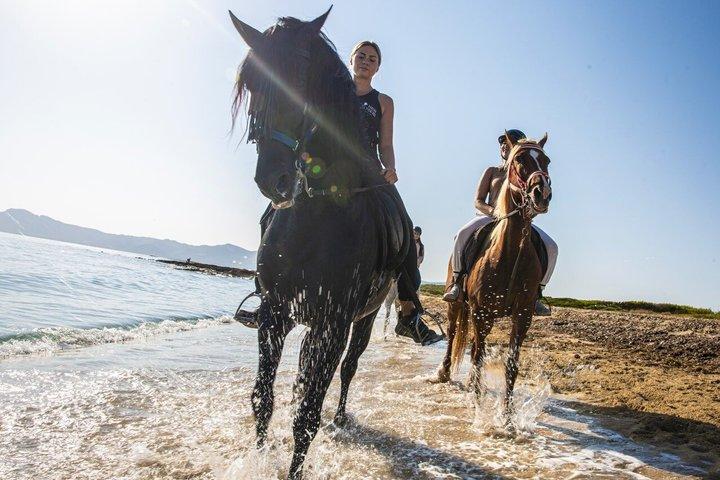 Reiten auf Mallorca am Strand und Wald