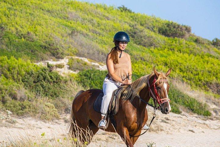 Equitazione a Maiorca sulla spiaggia e la foresta