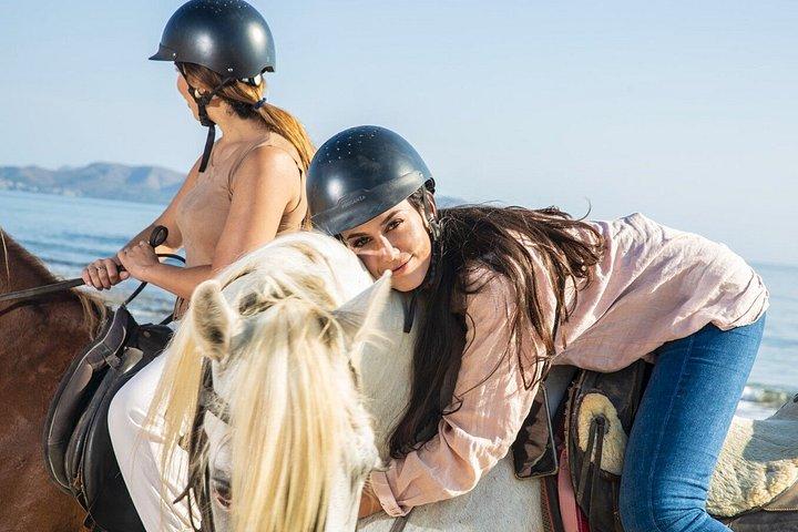 Equitazione a Maiorca sulla spiaggia e la foresta