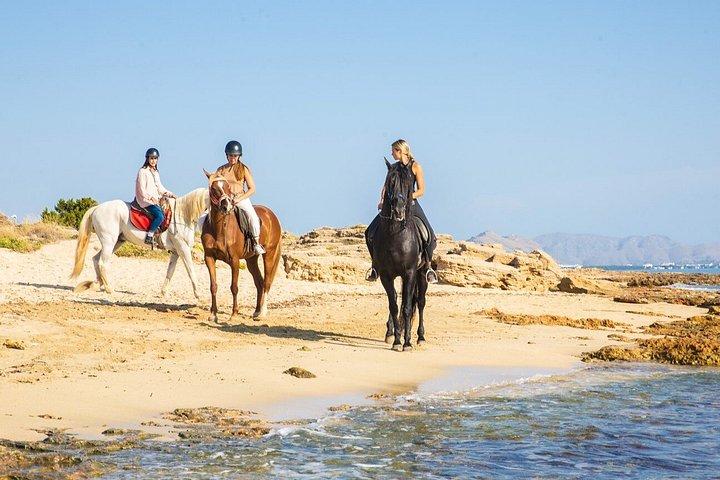 Equitazione a Maiorca sulla spiaggia e la foresta
