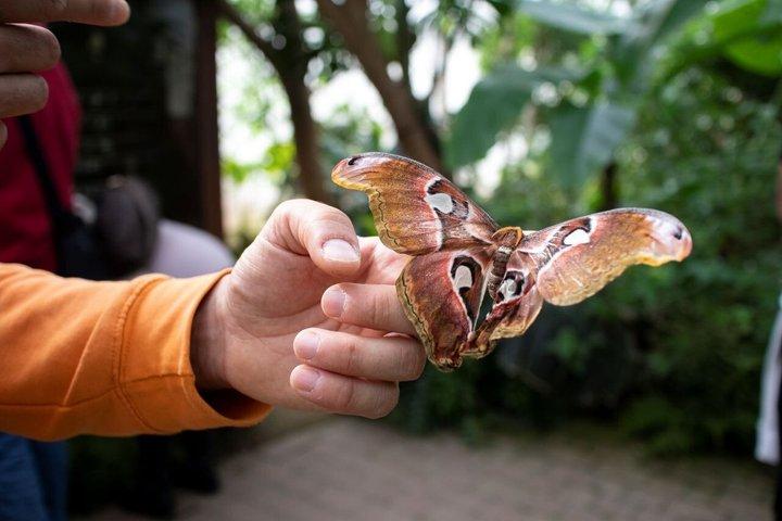 Godetevi la natura a Butterfly House a Milano Marittima