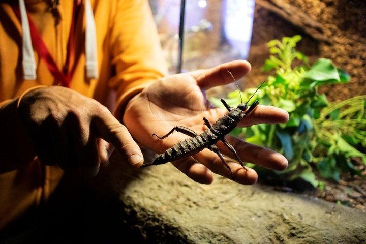 Godetevi la natura a Butterfly House a Milano Marittima