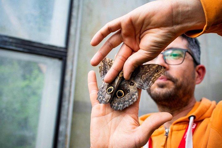 ミラノ・マリッティマのバタフライハウスで自然を満喫