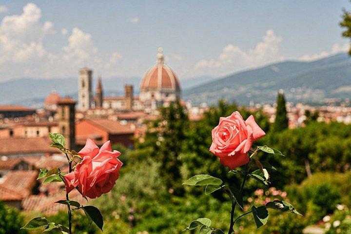Florence Countryside: Excursão eBike Virtual-Guided