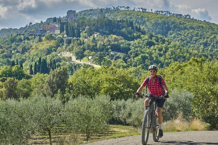 San Gimignano : Tour en eBike Virtual-Guided