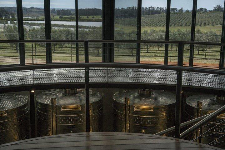 Wine Experience Bodega Oceánica Visita e pranzo alla Bodega Garzón