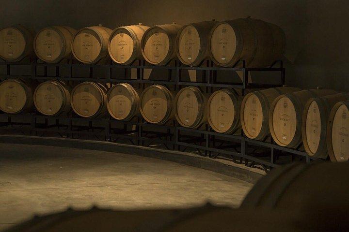 Wine Experience Bodega Oceánica Visita e pranzo alla Bodega Garzón