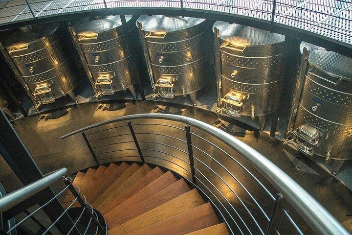 Wine Experience Bodega Oceánica Visita e pranzo alla Bodega Garzón