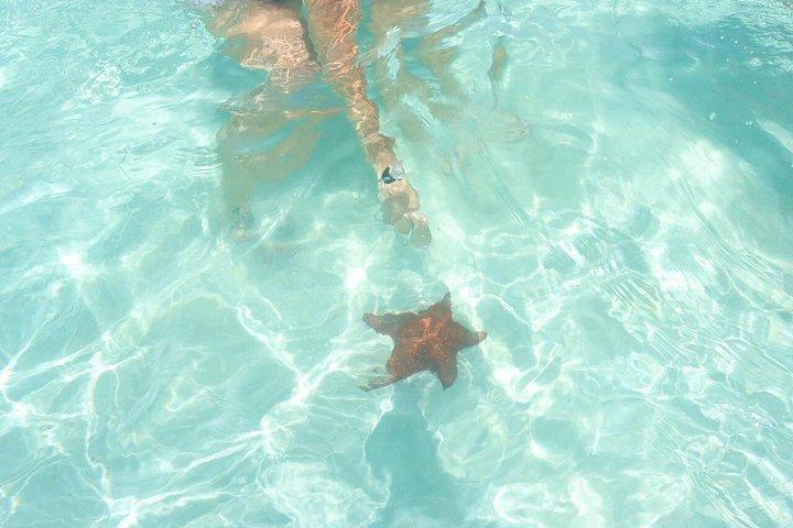 Tours Saona Paradise : 4 Beaches, Natural Pool and Turtles
